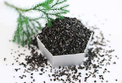 Why is the price of coconut shell activated carbon higher than other activated carbon